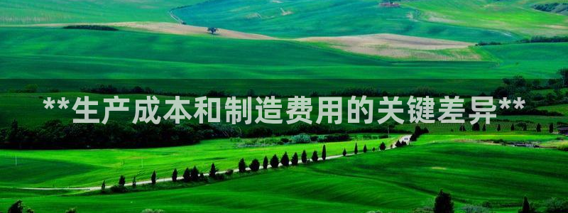 彩神ix是真的吗：**生产成本和制造费用的关键差异**