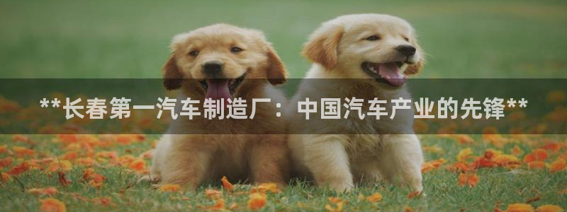 彩神vl官网：**长春第一汽车制造厂：中国汽车产业的先锋**