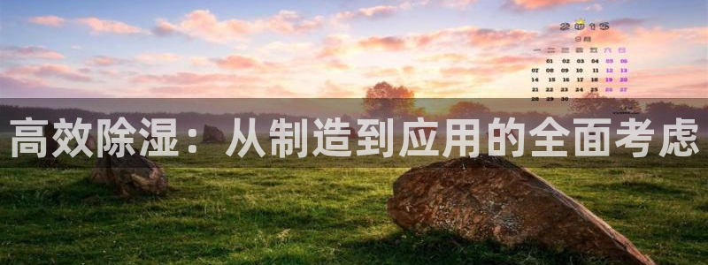 彩神通官网下载：高效除湿：从制造到应用的全面考虑