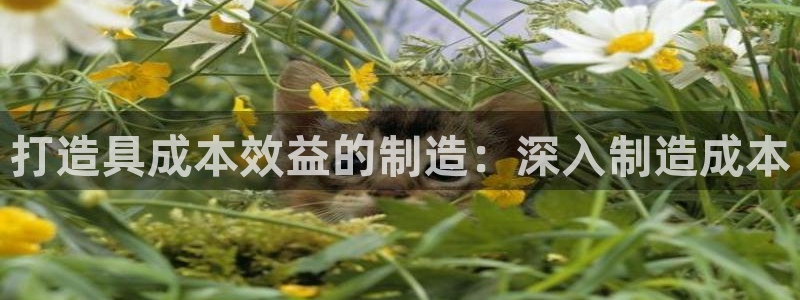 彩神团队是真的吗：打造具成本效益的制造：深入制造成本