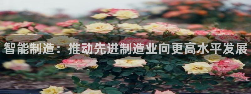 彩神v8是真的挣钱吗知乎：智能制造：推动先进制造业向更高水平发展