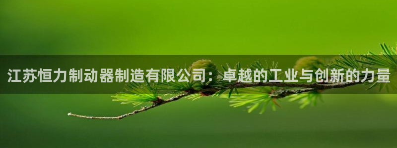 彩神vii官网大赢家：江苏恒力制动器制造有限公司：卓越的工业与创新的力量