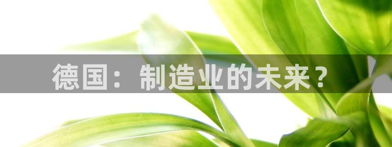 彩神v违法么：德国：制造业的未来？