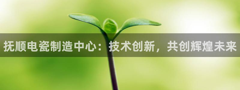 彩神大发云：抚顺电瓷制造中心：技术创新，共创辉煌未来