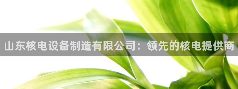彩神V集团有限公司：山东核电设备制造有限公司：领先的核电提供商