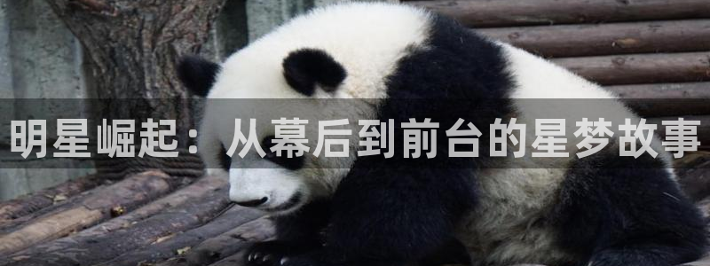 彩神通官方网：明星崛起：从幕后到前台的星梦故事