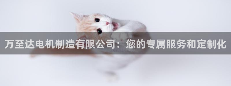 下载彩神通关注金码：万至达电机制造有限公司：您的专属服务和定制化