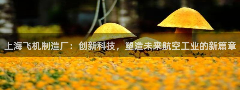 彩神8彩平台客服：上海飞机制造厂：创新科技，塑造未来航空工业的新篇章
